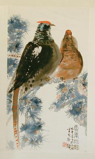 Birds of Yunnan