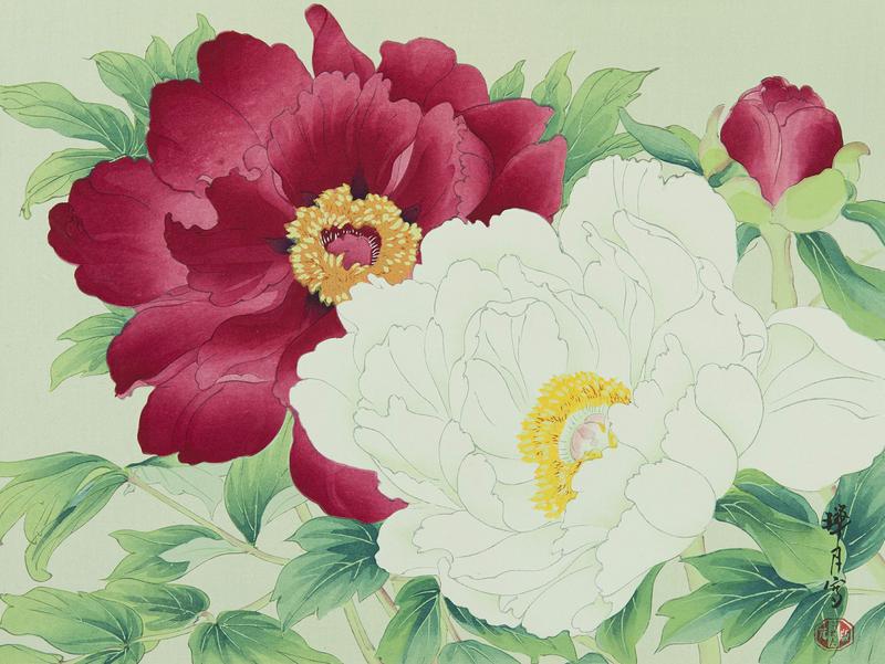 Peonies