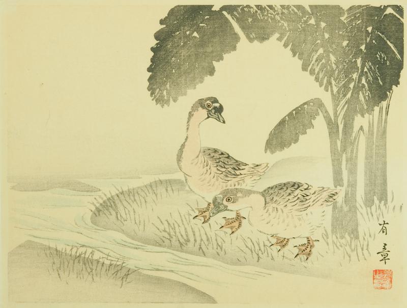 Two Geese at a Stream