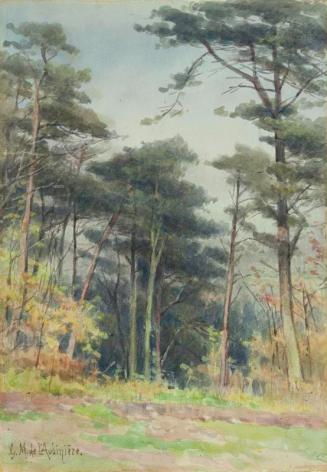 On the Lickey Hills, Rednal, Worcestershire