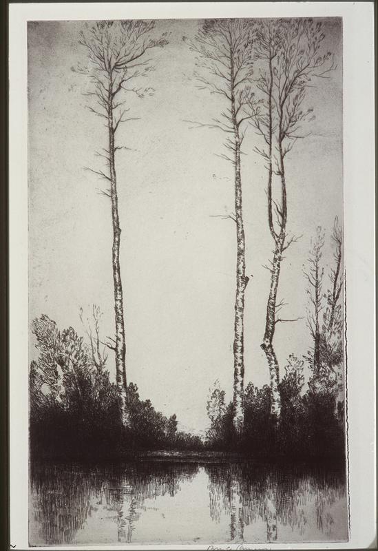 Untitled:  trees & pond