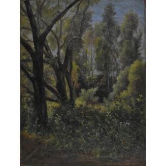 Untitled (Forest Scene)