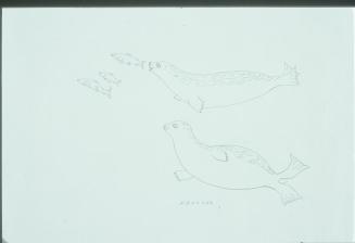 Untitled (2 Seals and 3 Fish)