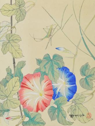 Untitled (Flowers and Insects)