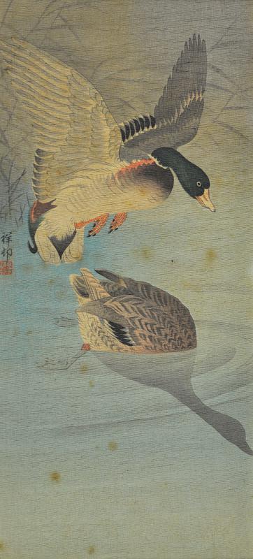 Two Mallard Ducks in a Pond