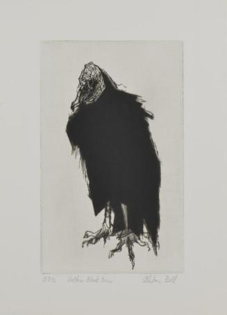 Vulture - Black Series