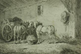 Horses Feeding in the Barn