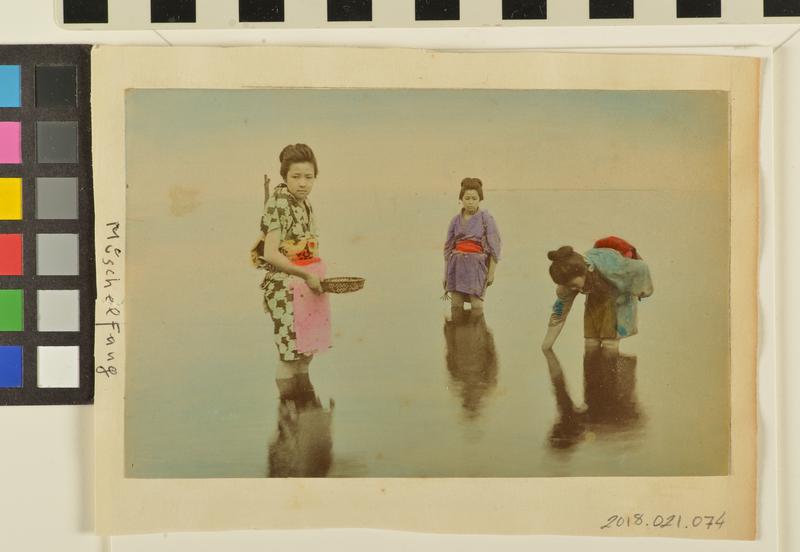 Untitled (picking shells)