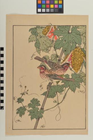 Untitled (two birds on a branch)