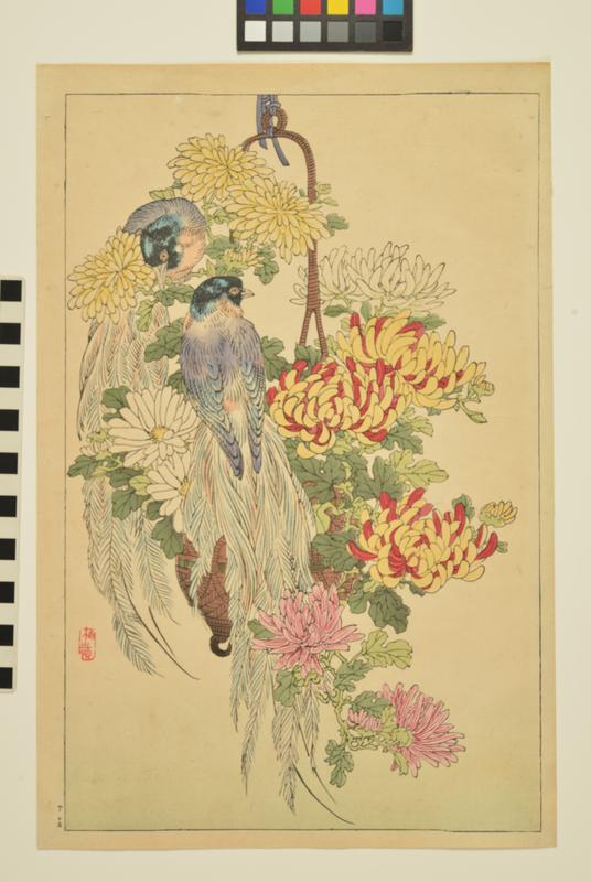 Exotic Birds and Chrysanthemums