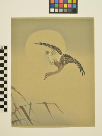 untitled (long necked bird)