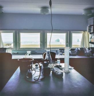 Lab, Arctic Station, Greenland