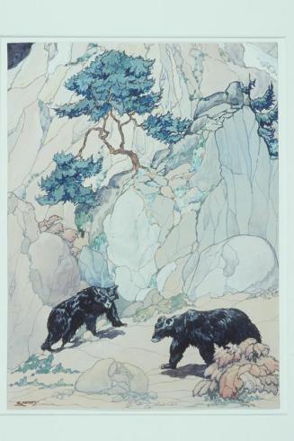 Black Bears