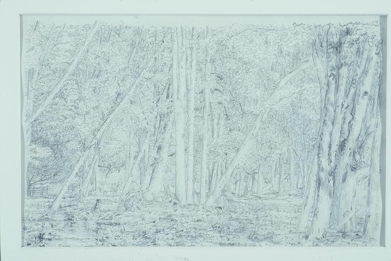 Wooded Pasture; Five Studies