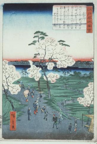 Sumidagawa, Cherry Blossom Viewing