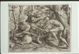 Hercules Fighting the Nemean Lion