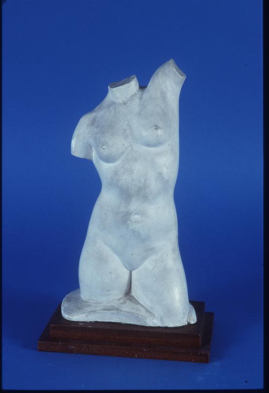 Nude Torso