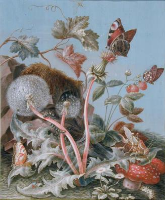 Landscape with Flowers and Insects