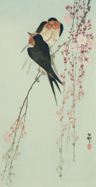 Swallows and Hanging Cherry Blossoms
