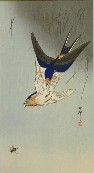 Swallows and Bee