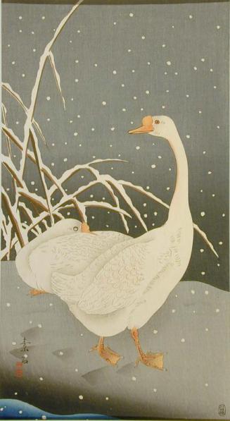 Geese in Snow