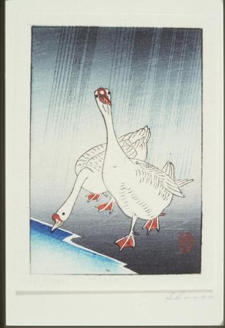 Geese Christmas Card