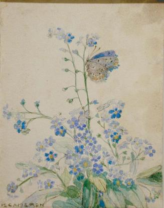 Untitled (Flowers with Butterfly)