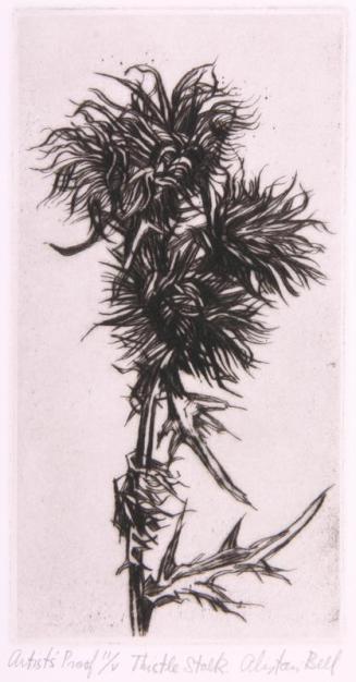 Thistle Stalk