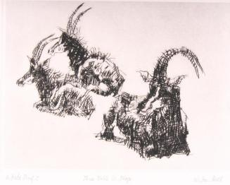 Three Sable Antelope