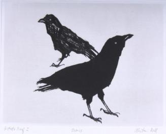 Crows