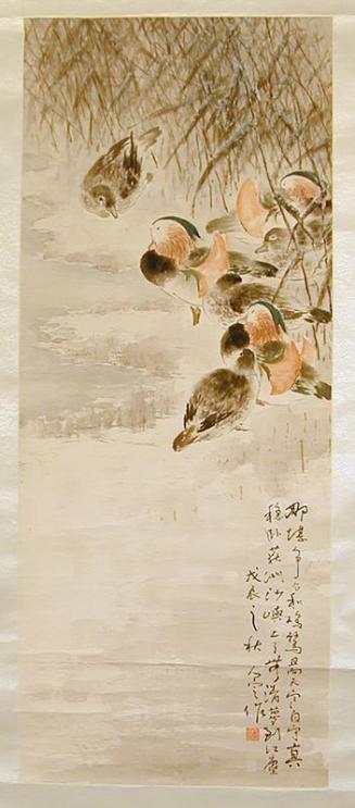 Untitled-Mandarin Ducks