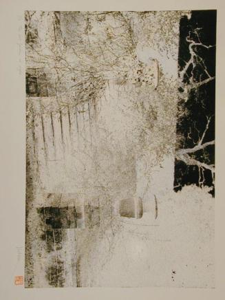 The Lost Garden at Night