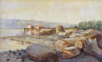 Beach Scene with Stumps and Logs