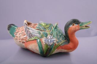 Teapot in the Shape of a Duck with an Iris