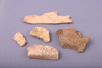 Oracle Bone Fragments