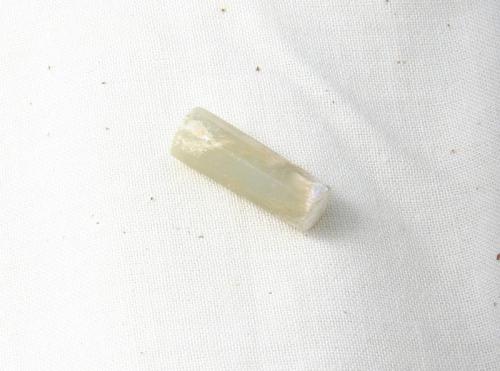 One of a Pair of Mortuary Ear Plugs