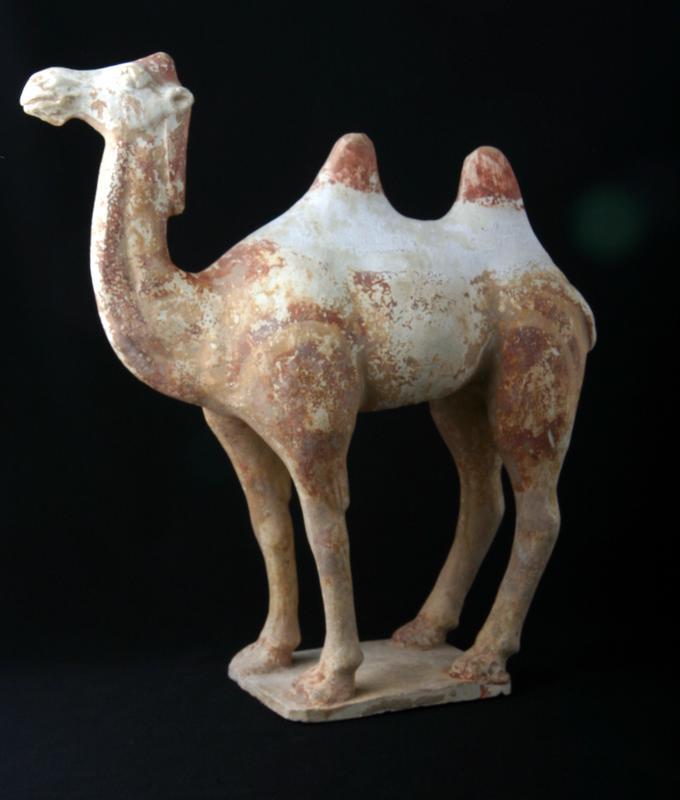 Tomb Figure of a Camel