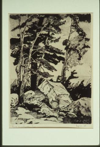 Pine and Rocks