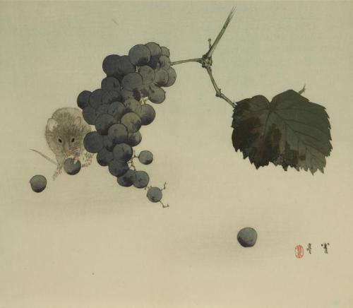Mouse and Grapes