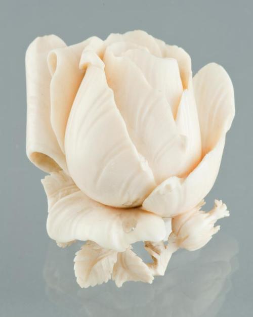 Ivory Flower