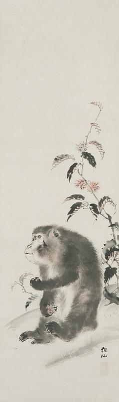 Monkey Holding a Chestnut