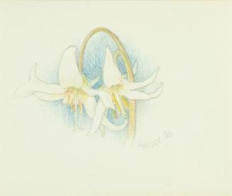 Untitled: sketch of two lilies