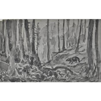 Untitled-Forest and Bear