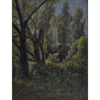 Untitled (Forest Scene)