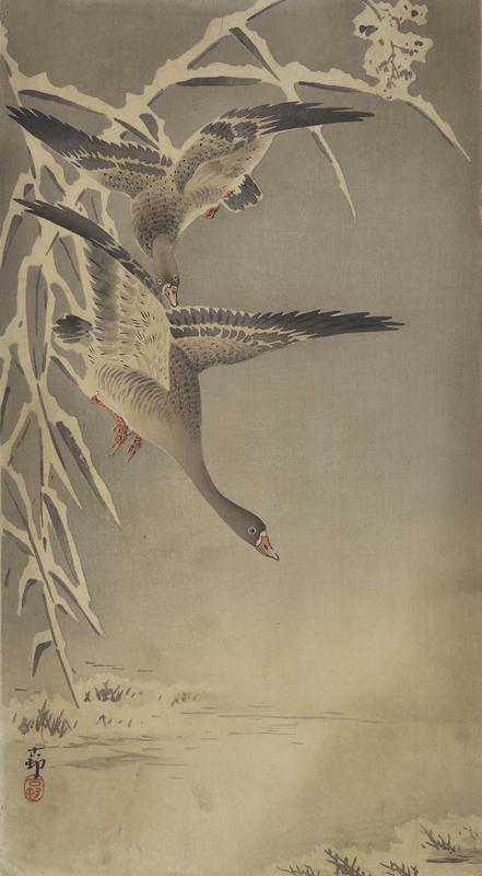 Geese Flying in Snow