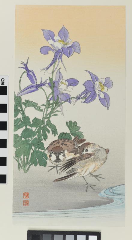 Two Sparrows and Flower