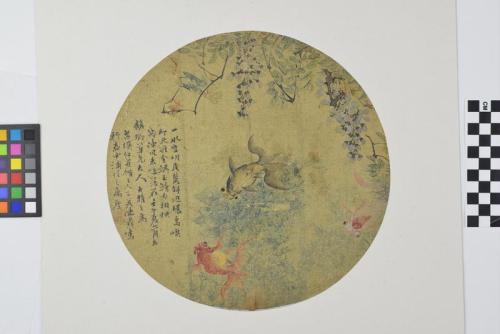 Untitled (Goldfishes and weeds)