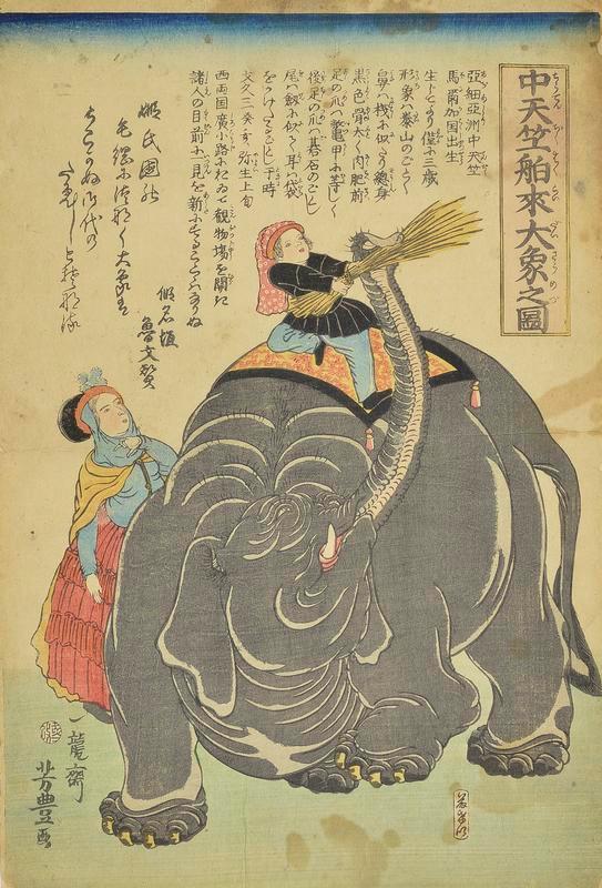 The Great Elephant Imported from India