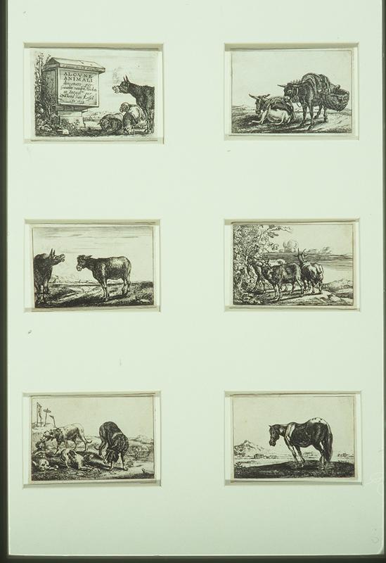 Gioanni vanden Hecke