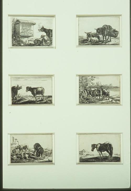 Gioanni vanden Hecke